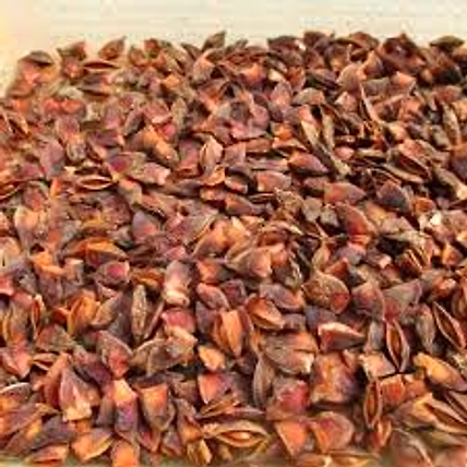 STAR ANISE-2