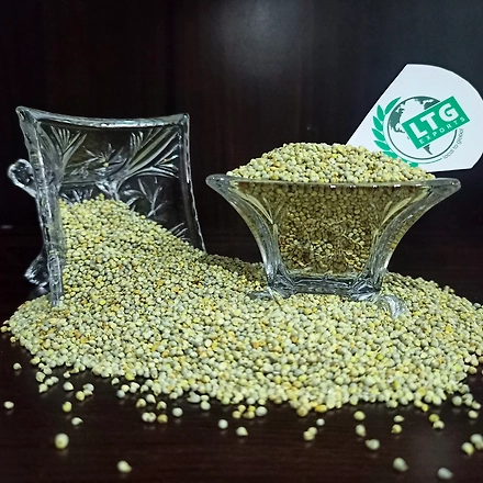 Green Millet (Bajra)-12252196