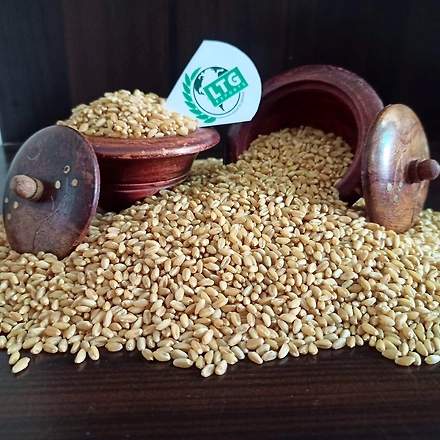 Wheat-12281442