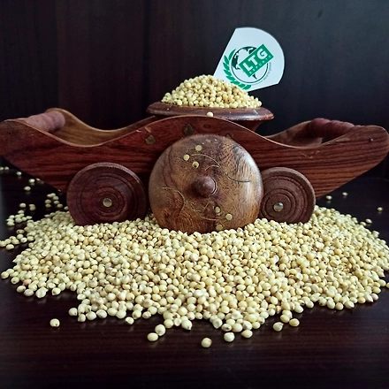 Sorghum-12281838