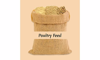 Poultry Feed