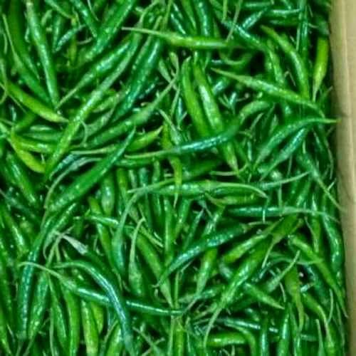 G 4 GREEN CHILI image 4