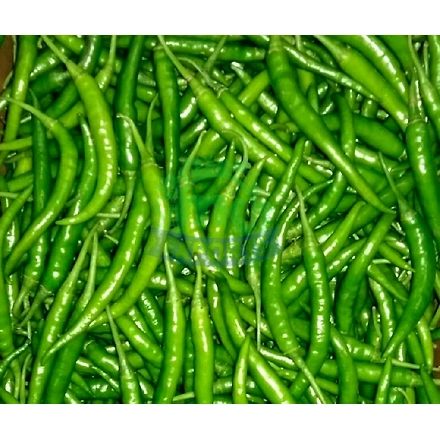 G 4 GREEN CHILI-1