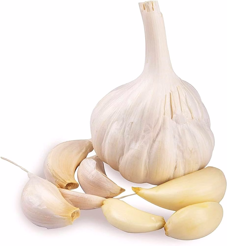 GARLIC image 1