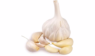 GARLIC