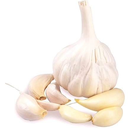 GARLIC-12359262