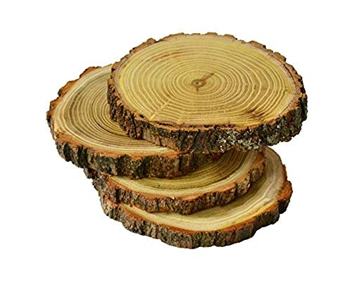 Natural Wood Slices Round Wood Slabs 4-12646569