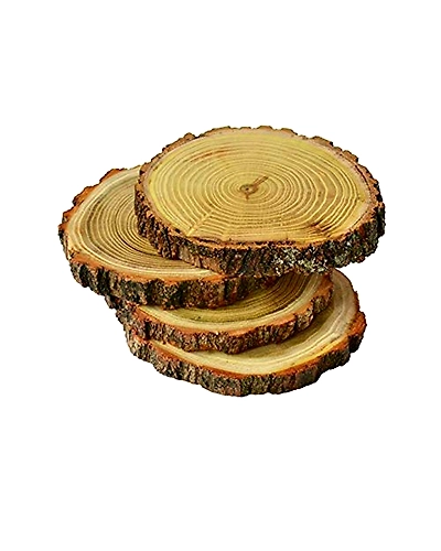 Natural Wood Slices Round Wood Slabs 4-12646569