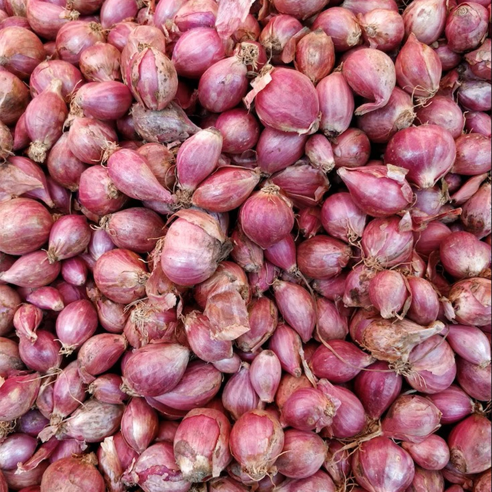 Shallots / Small Onion-1001