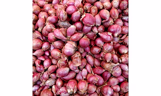 Shallots / Small Onion