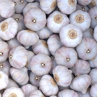garlic