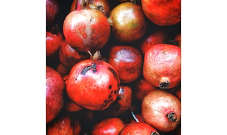 Pomegranate