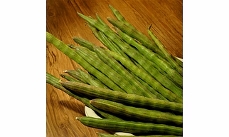 Moringa Pods