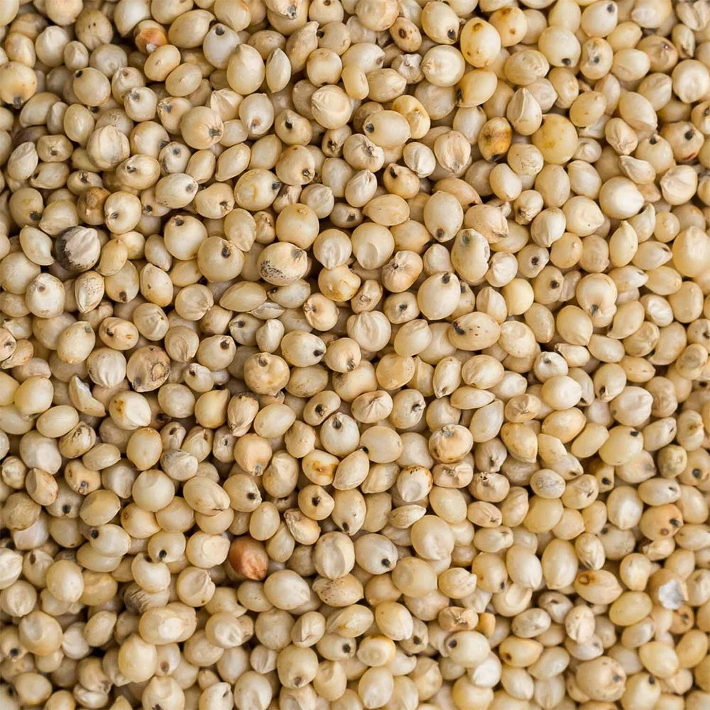 Sorghum Millet-1020