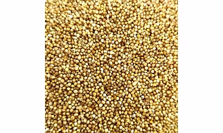 Kodo Millet
