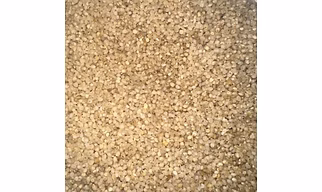 Barnyard Millet