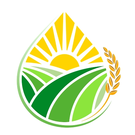 Refined Rice Bran Oil-RRBO