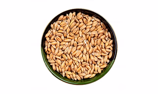 Groats Wheat