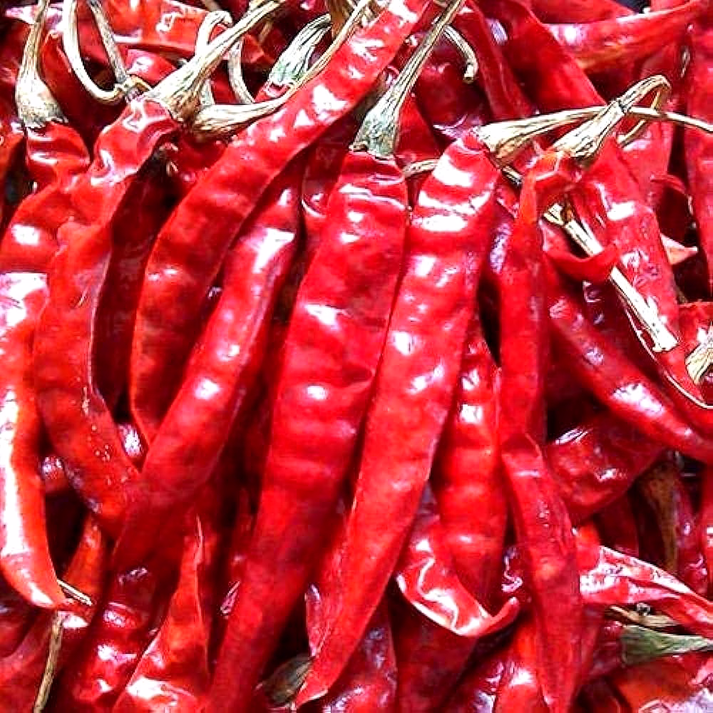 Red Chilli image 1