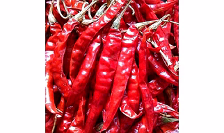 Red Chilli