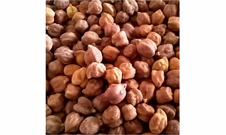 Bengal Gram Desi Chana