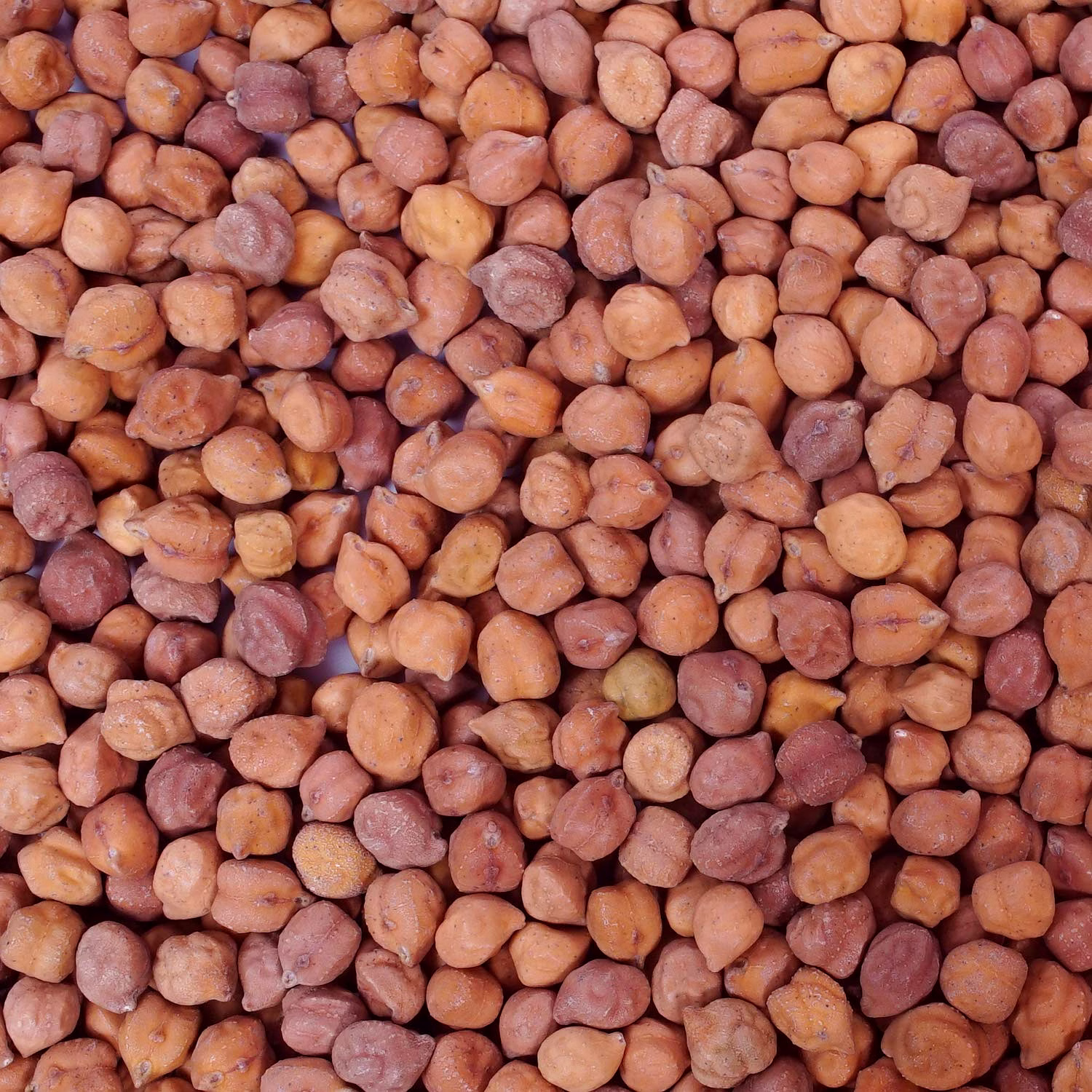 Bengal Gram Desi Chana image 3