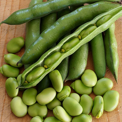 Broad Beans image 1