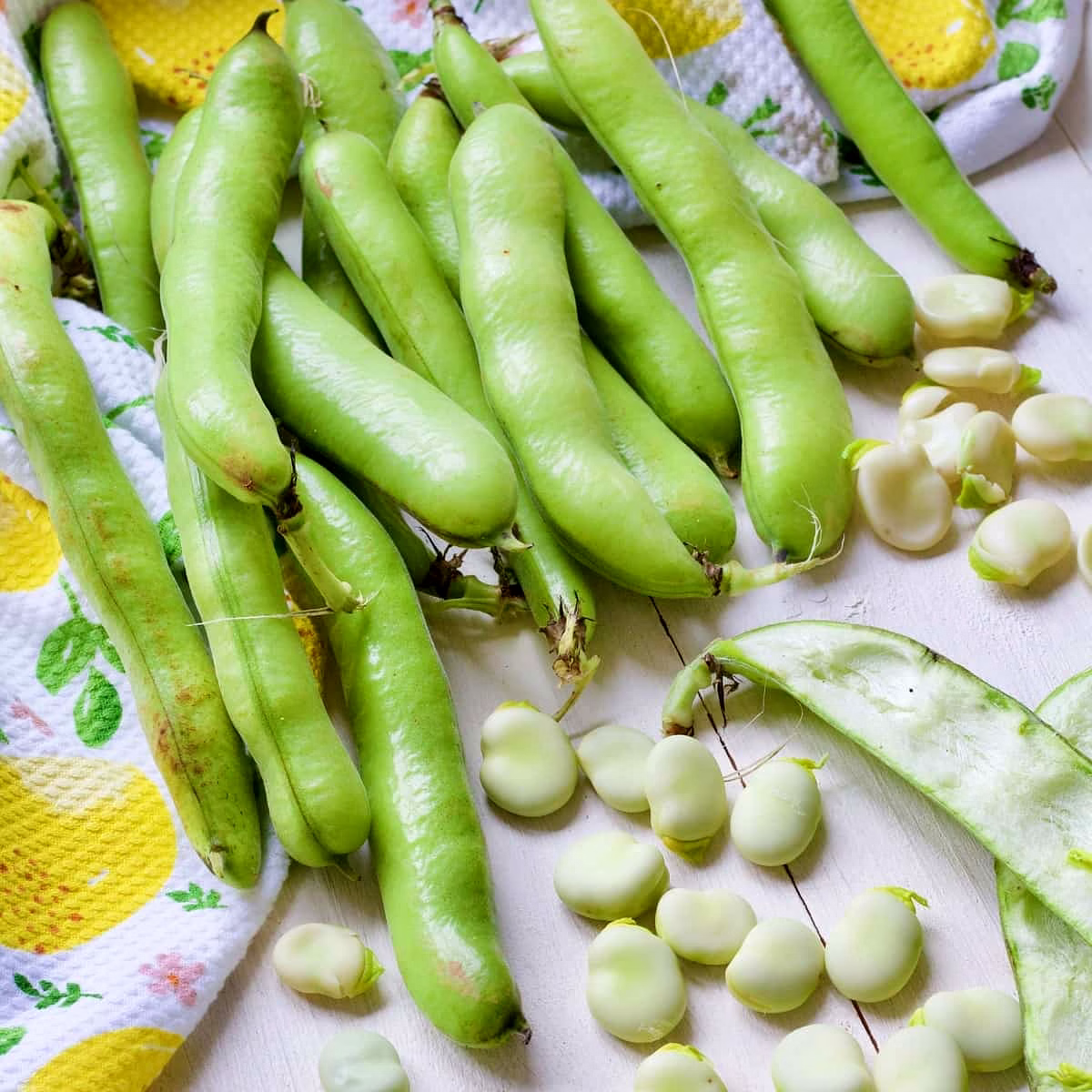 Broad Beans image 2