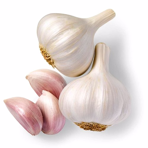Garlic image 3
