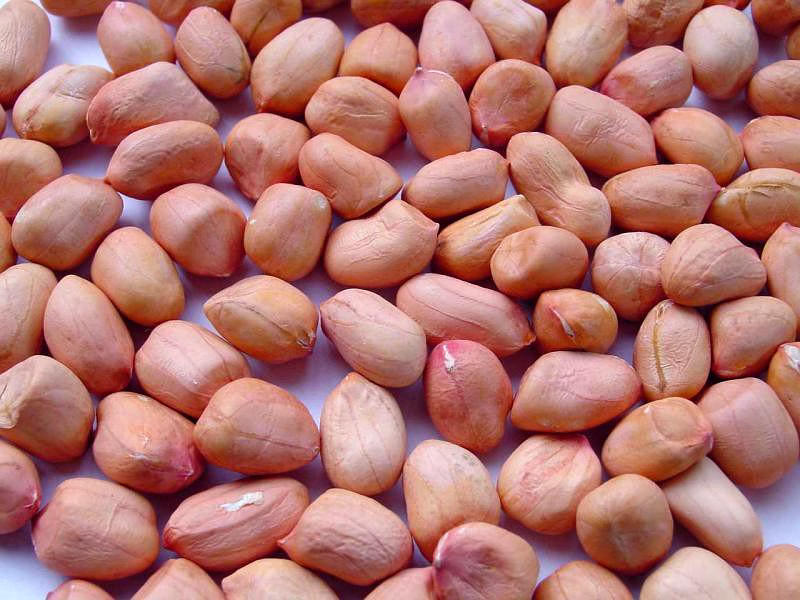 Ground Nuts image 2