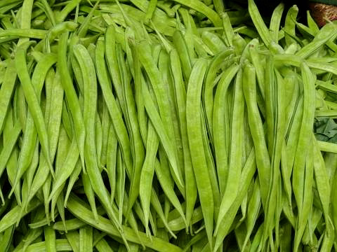 Guar image 1
