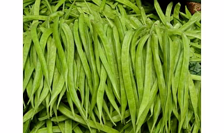 Guar