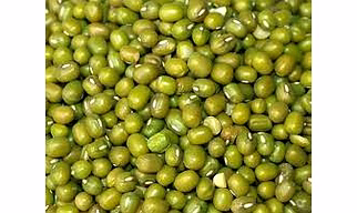 Mung Bean