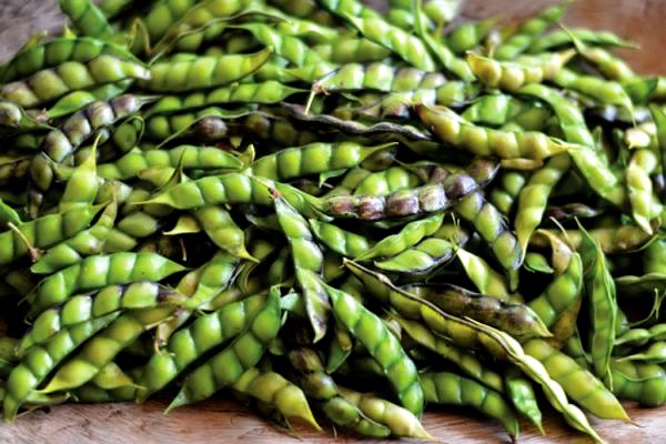 Pigeon peas image 1