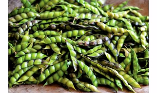 Pigeon peas