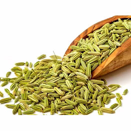 fennel
