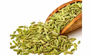 Fennel