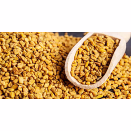 fenugreek