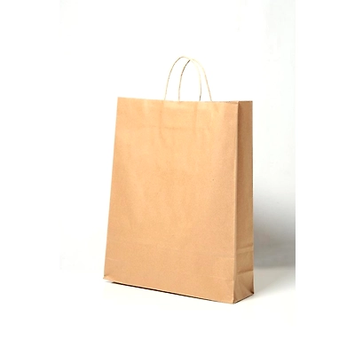 BROWED CRAFT RECYCLED PAPER BAG 90 GSM 300*127*400MM-12269660