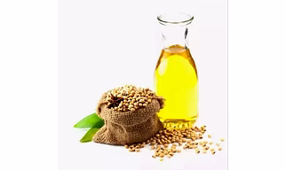 Epoxidized Soybean Oil Esbo