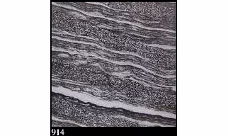 Ceramic Tiles