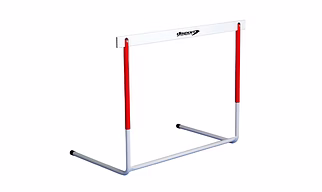 TRAINING HURDLE