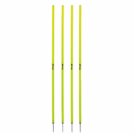 disport regular slalom pole