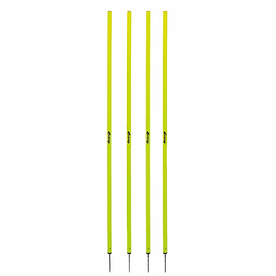 disport regular slalom pole