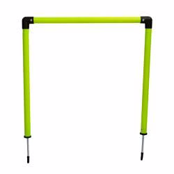 disport training arc multi