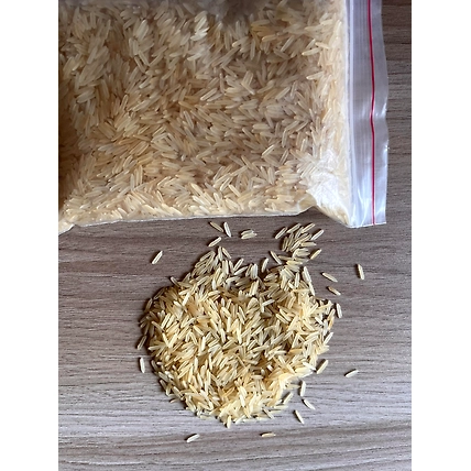 1121 Golden Sella-12433238