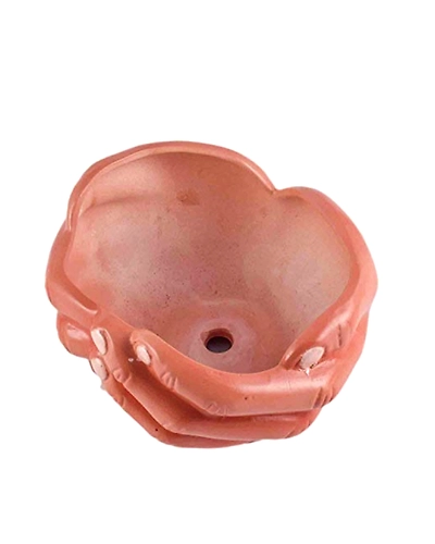 Ceramico Welcome Hand Planter for Indoor and Outdoor-2