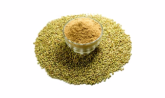 Coriander Seeds