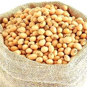 Soyabean non gmo