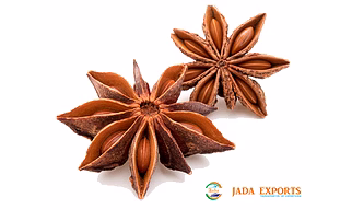 Anise